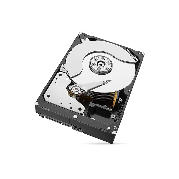 هارددیسک اینترنال سیگیت مدل SkyHawk ST10000VX0004 ظرفیت 10 ترابایت